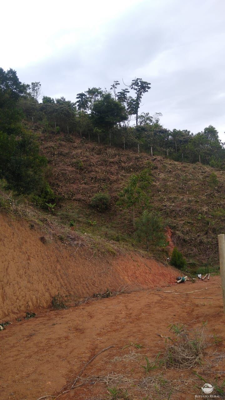 Fazenda à venda com 4 quartos, 28000m² - Foto 30