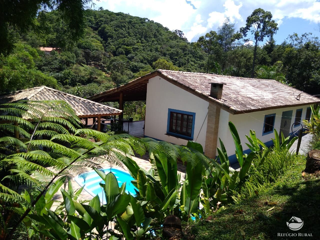 Fazenda à venda com 4 quartos, 28000m² - Foto 2