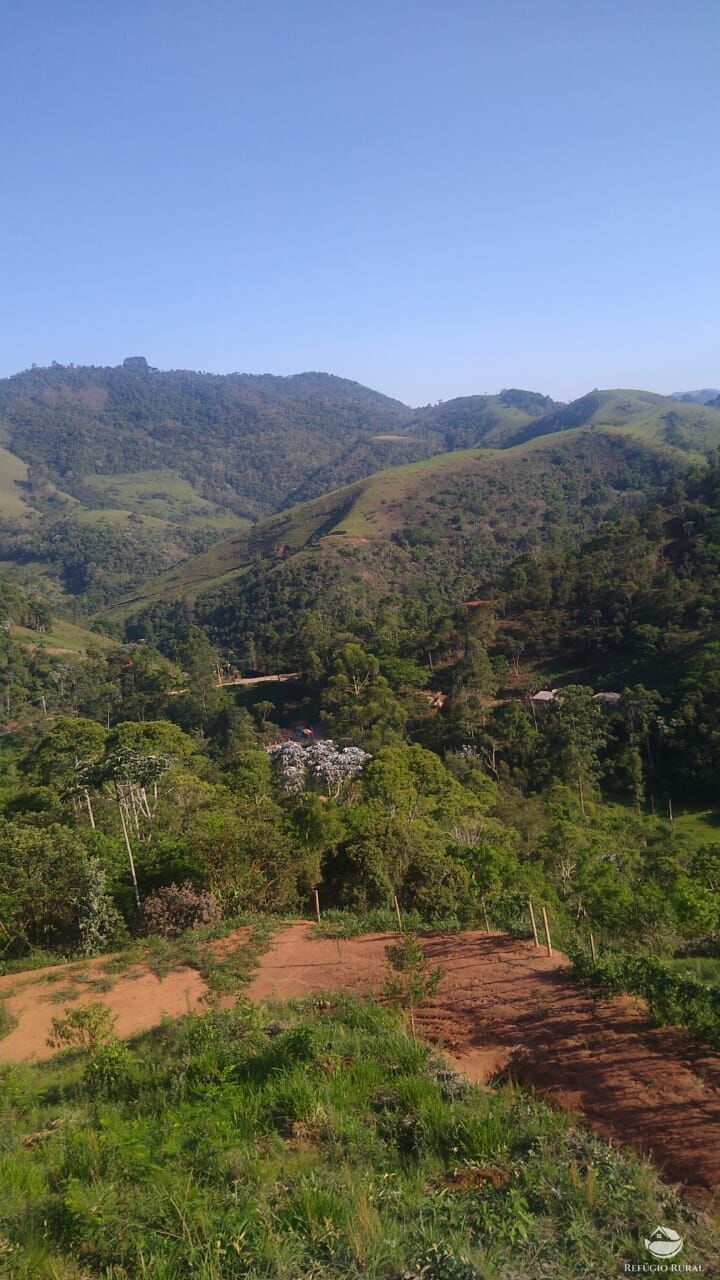 Fazenda à venda com 4 quartos, 28000m² - Foto 3