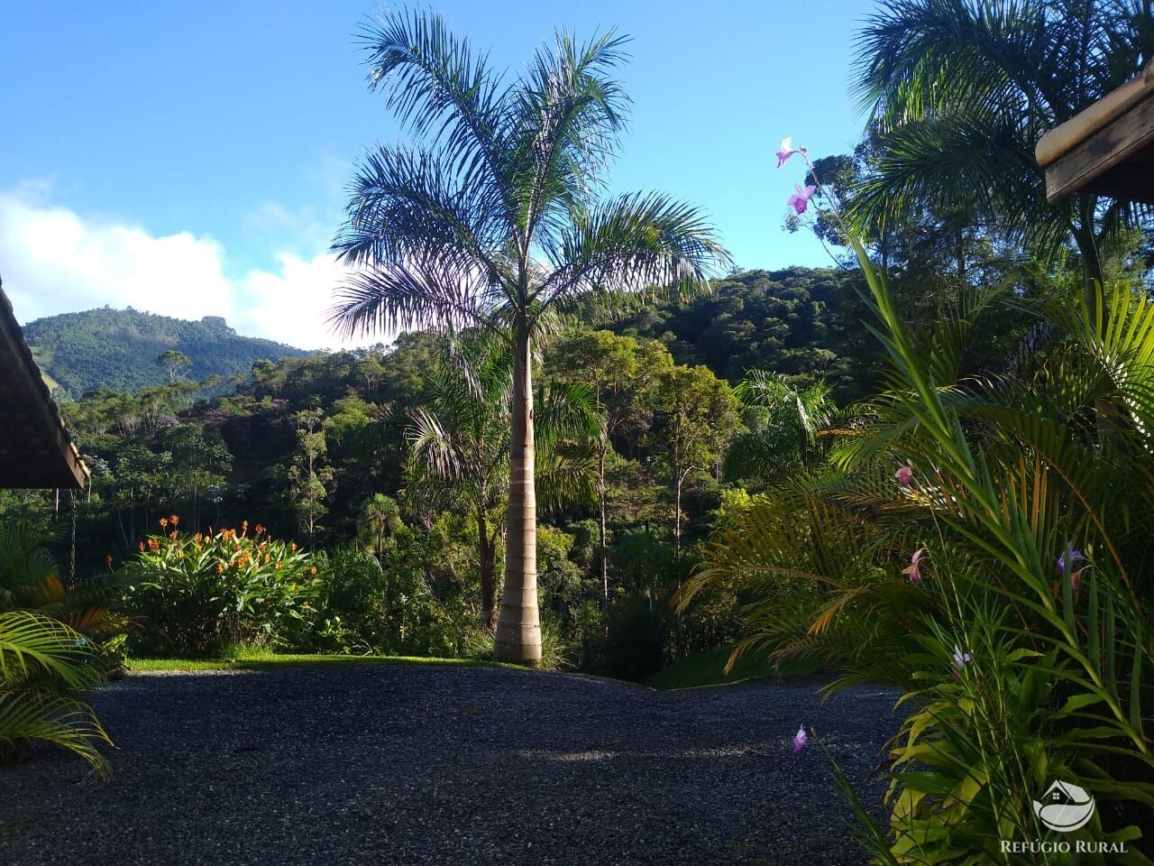 Fazenda à venda com 4 quartos, 28000m² - Foto 44