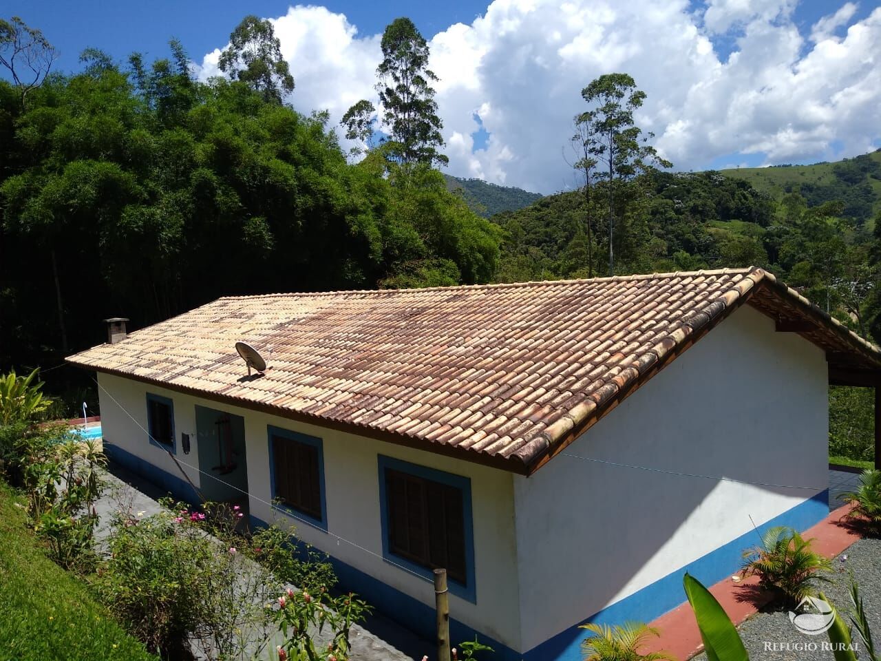 Fazenda à venda com 4 quartos, 28000m² - Foto 16