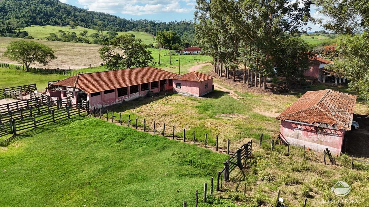 Fazenda, 653 hectares - Foto 5