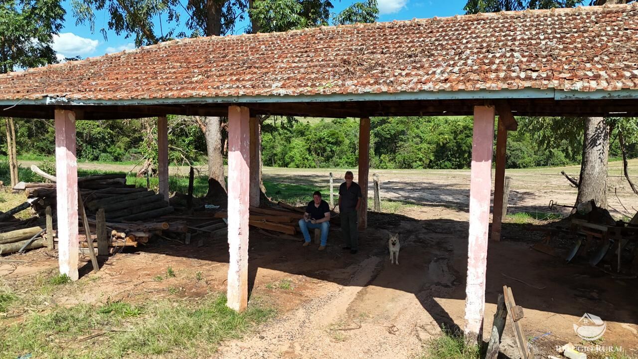 Fazenda, 653 hectares - Foto 14