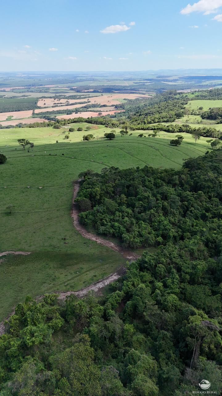 Fazenda, 653 hectares - Foto 11