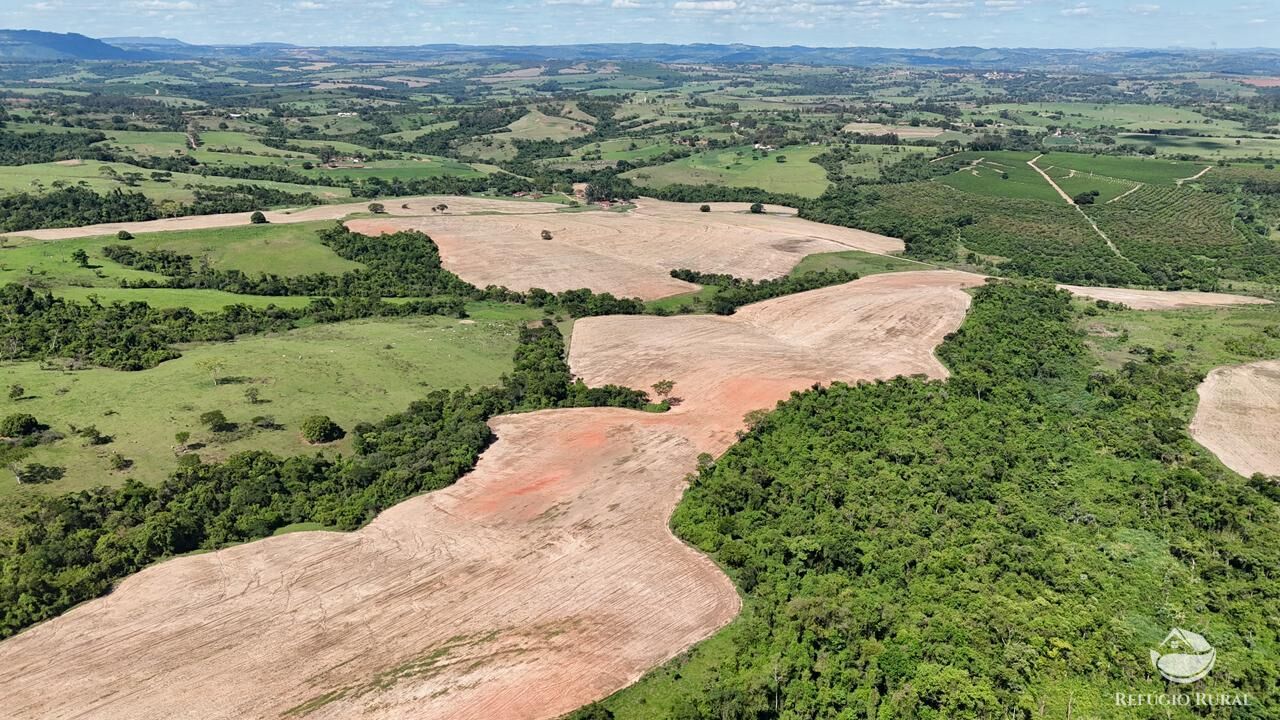 Fazenda, 653 hectares - Foto 8