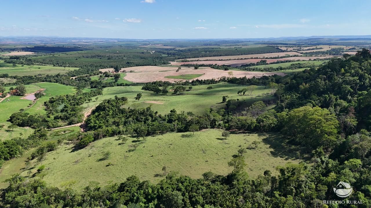 Fazenda, 653 hectares - Foto 6