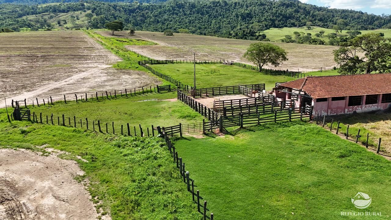 Fazenda, 653 hectares - Foto 7