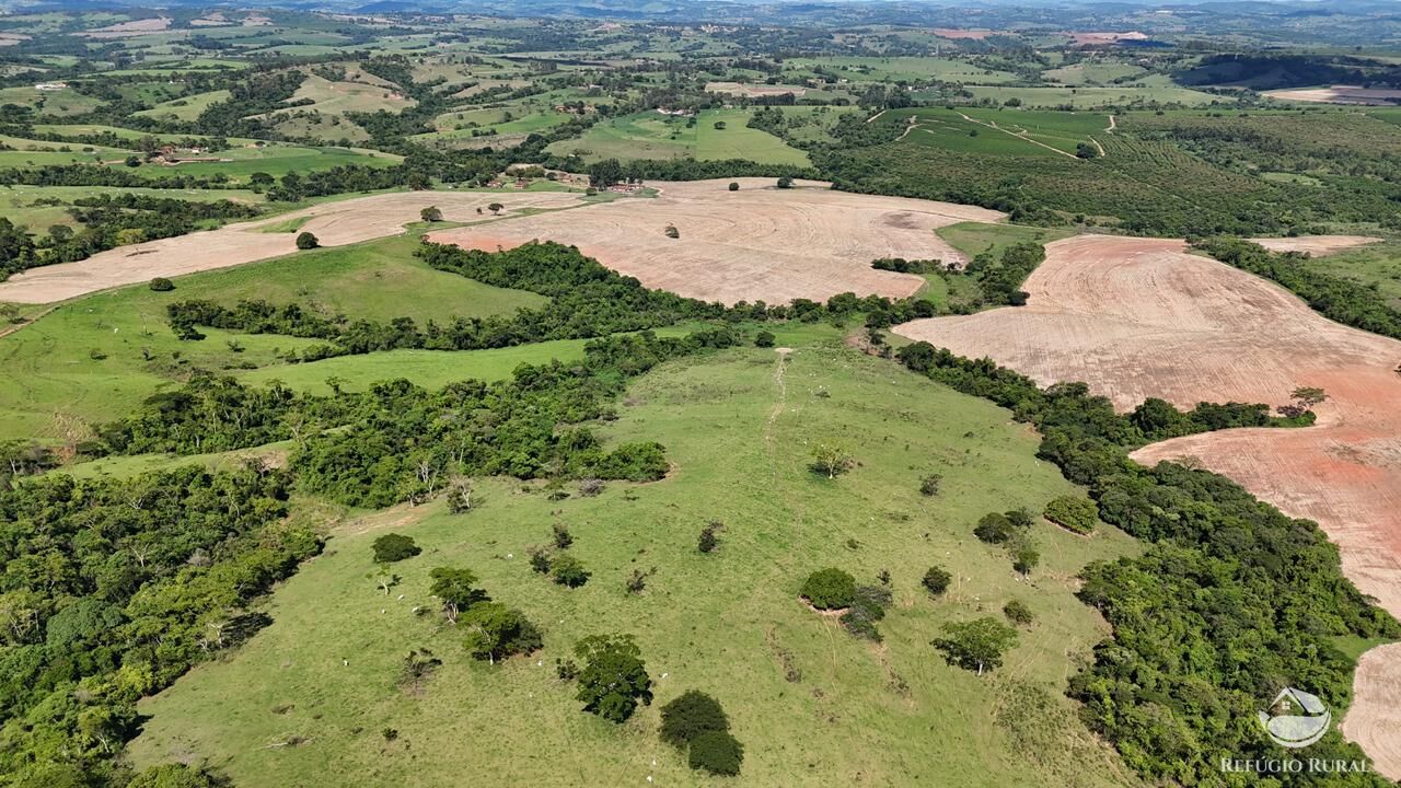 Fazenda, 653 hectares - Foto 12