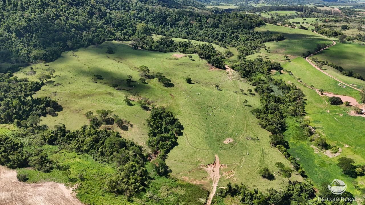 Fazenda, 653 hectares - Foto 4