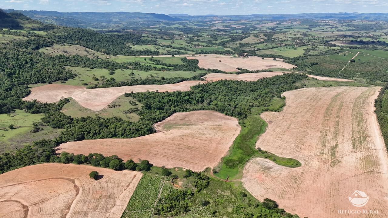 Fazenda, 653 hectares - Foto 9