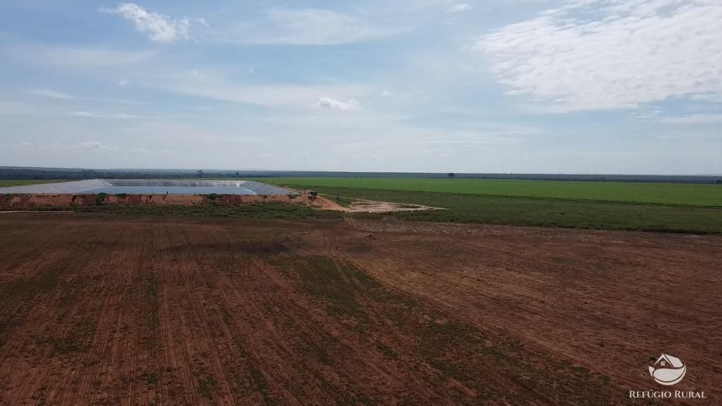 Fazenda, 3030 hectares - Foto 7