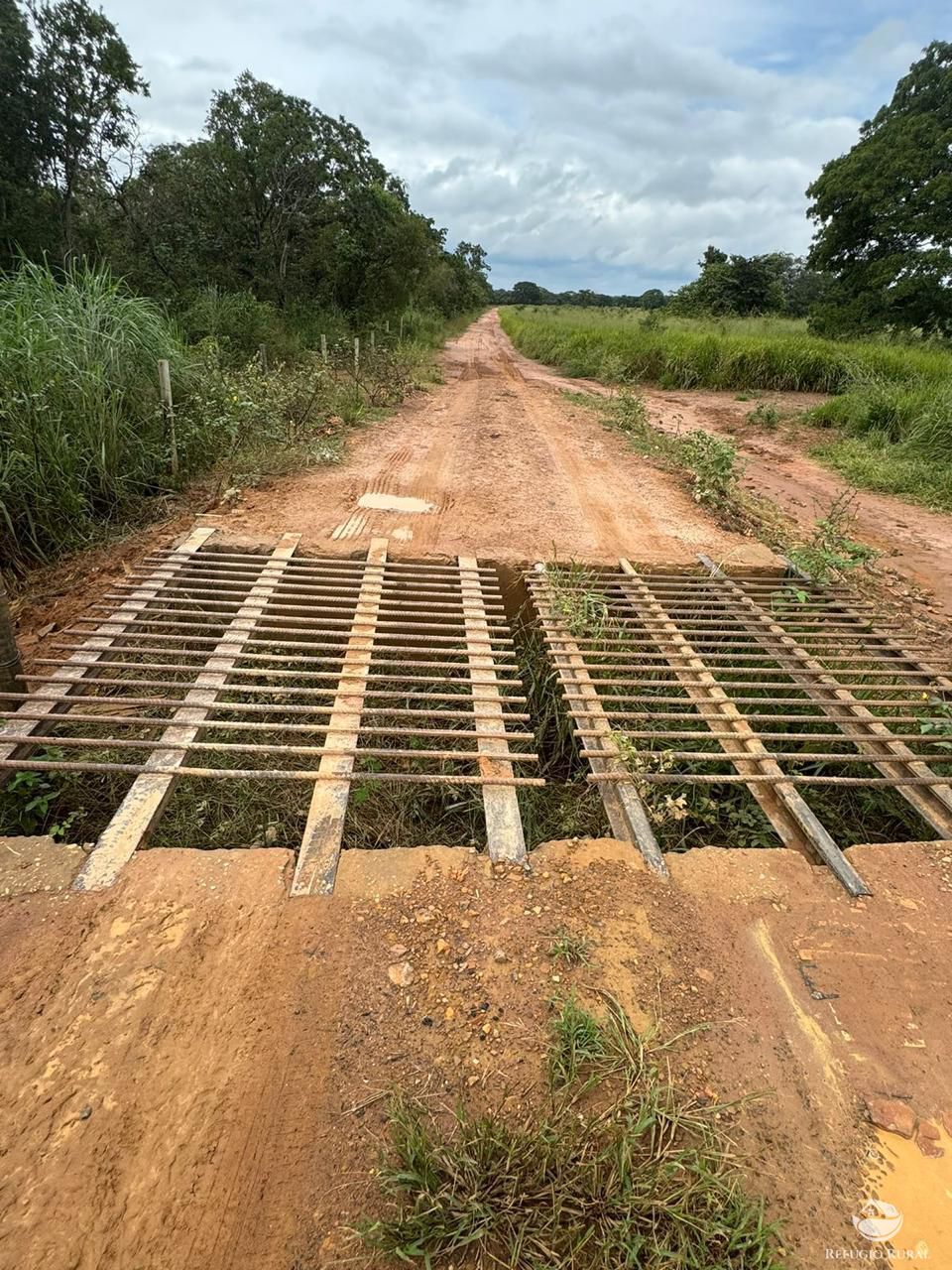 Fazenda, 3030 hectares - Foto 4