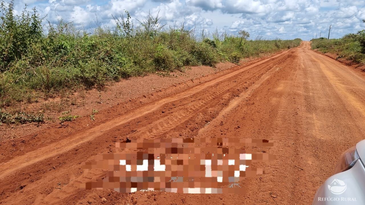 Fazenda à venda com 6 quartos, 130000000m² - Foto 3