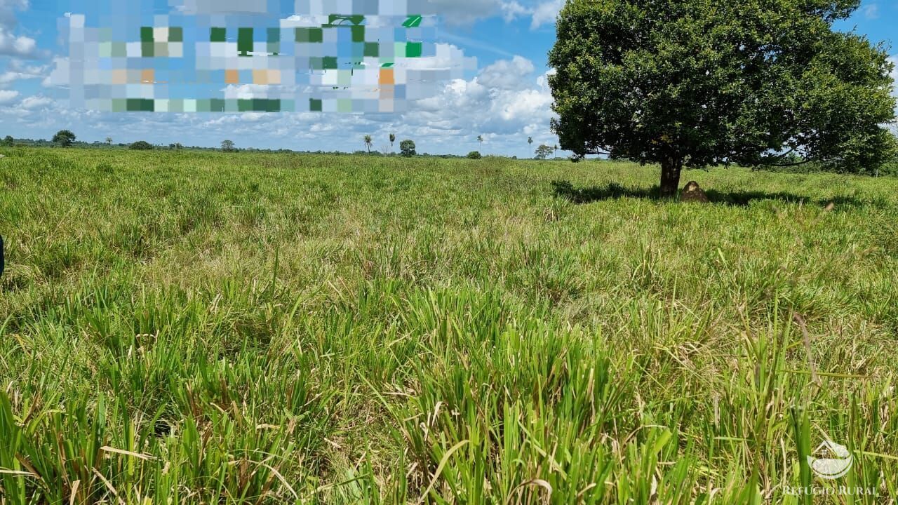 Fazenda à venda com 6 quartos, 130000000m² - Foto 1