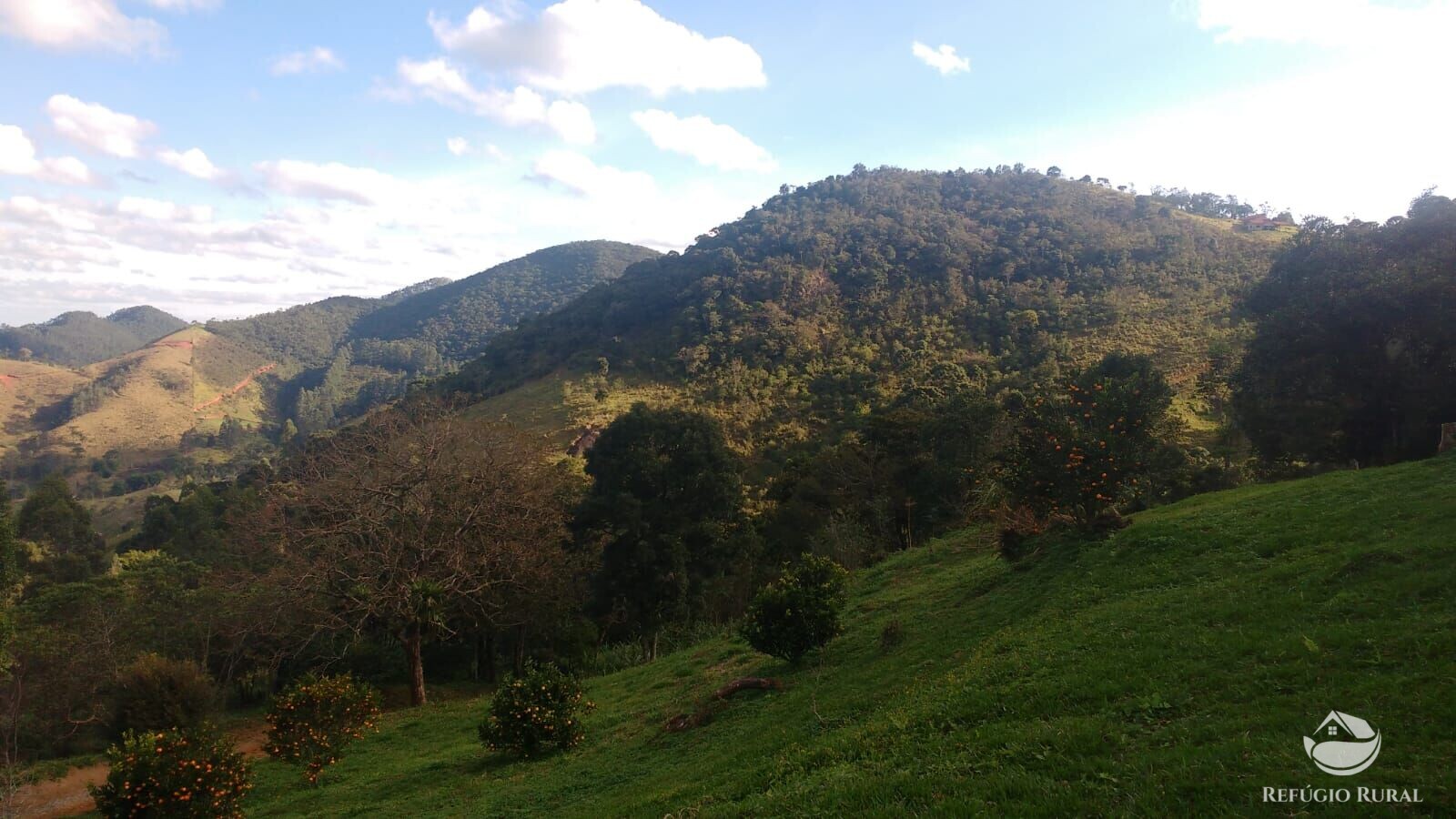 Fazenda à venda com 2 quartos, 57800m² - Foto 6