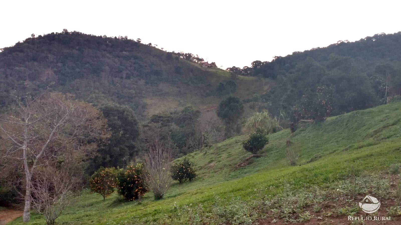 Fazenda à venda com 2 quartos, 57800m² - Foto 12