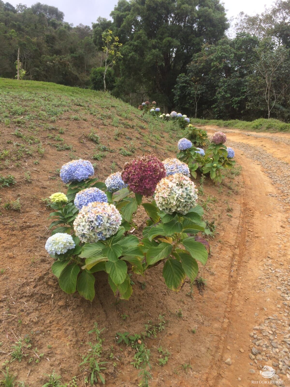 Fazenda à venda com 2 quartos, 57800m² - Foto 26