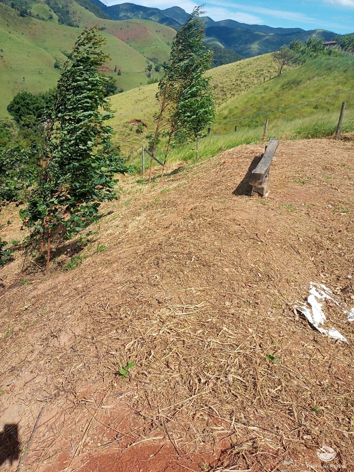 Terreno à venda, 1300m² - Foto 16