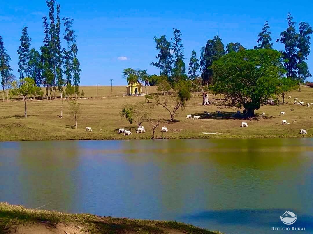 Fazenda-Sítio-Chácara, 301 hectares - Foto 3