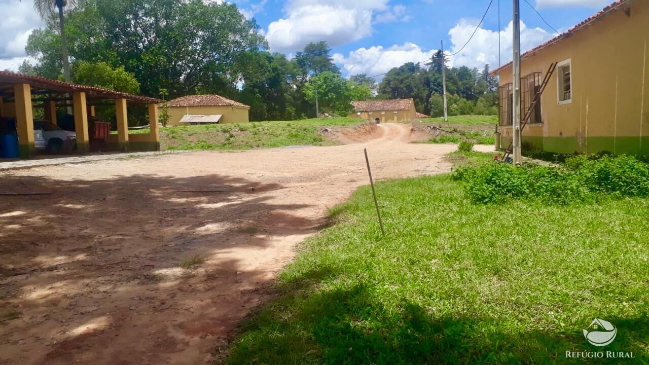 Fazenda-Sítio-Chácara, 301 hectares - Foto 5