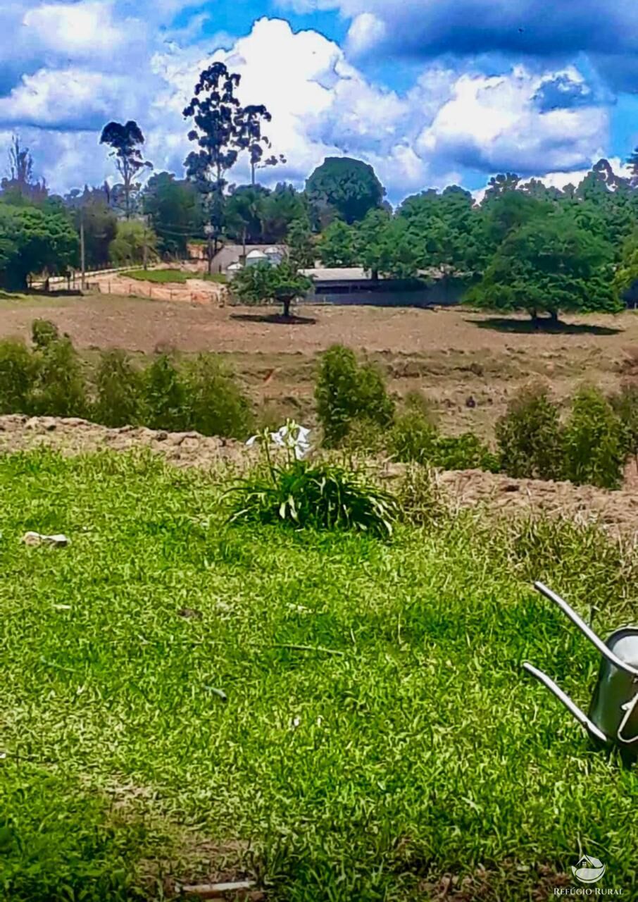 Fazenda-Sítio-Chácara, 301 hectares - Foto 1