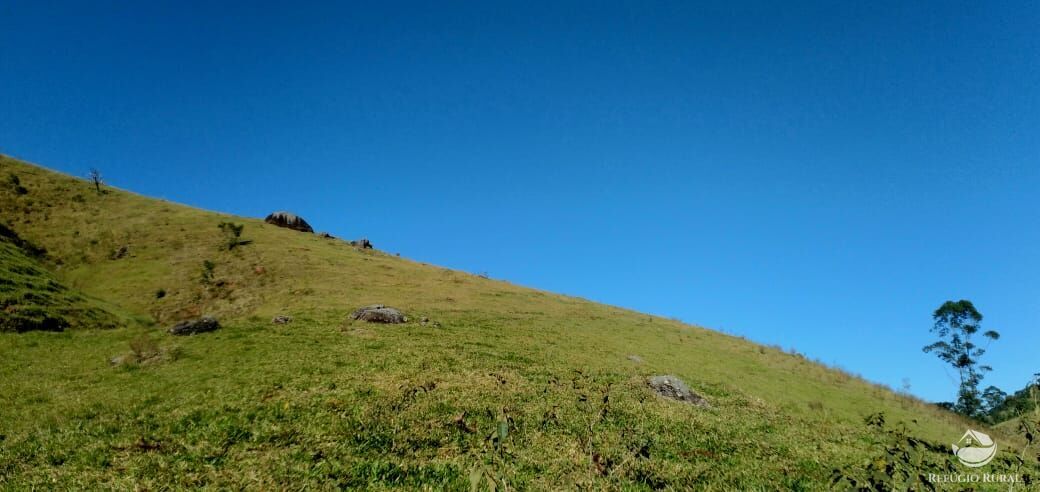 foto do anuncio