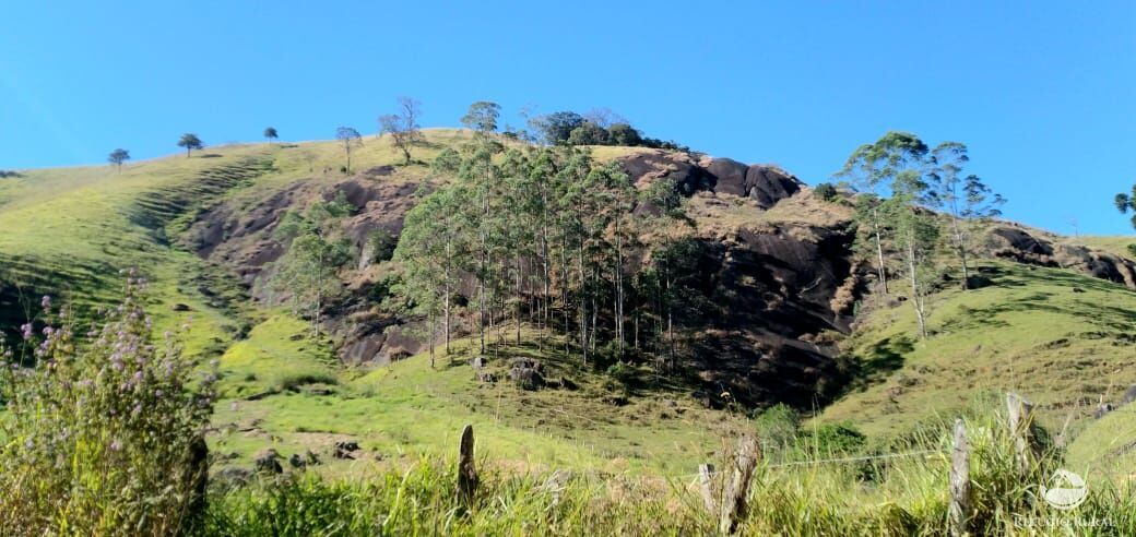 foto do anuncio