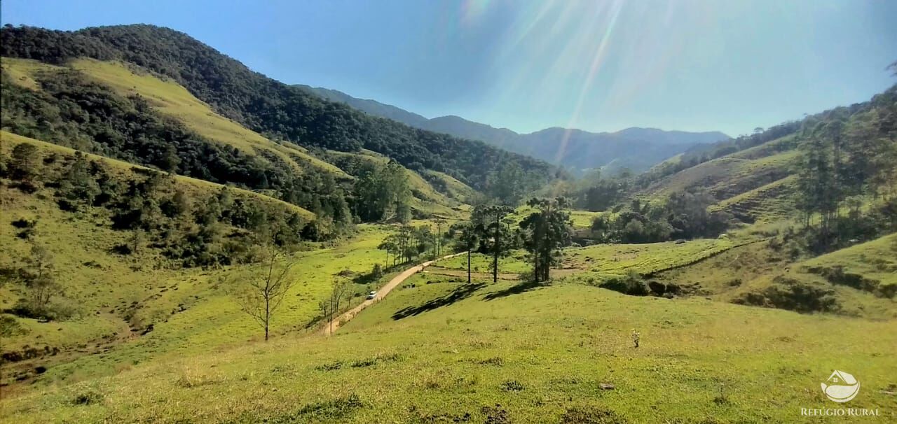 foto do anuncio