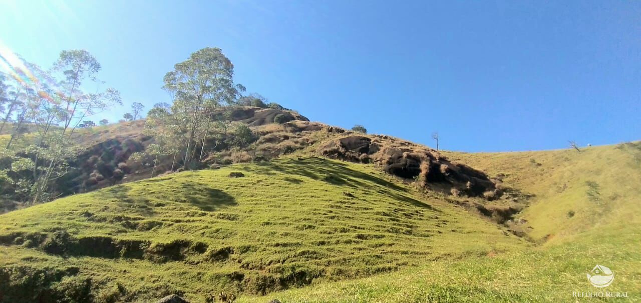 foto do anuncio