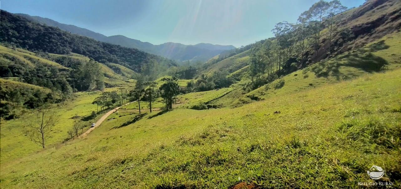 foto do anuncio