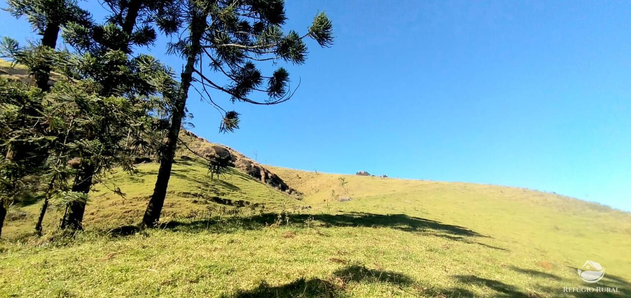 foto do anuncio