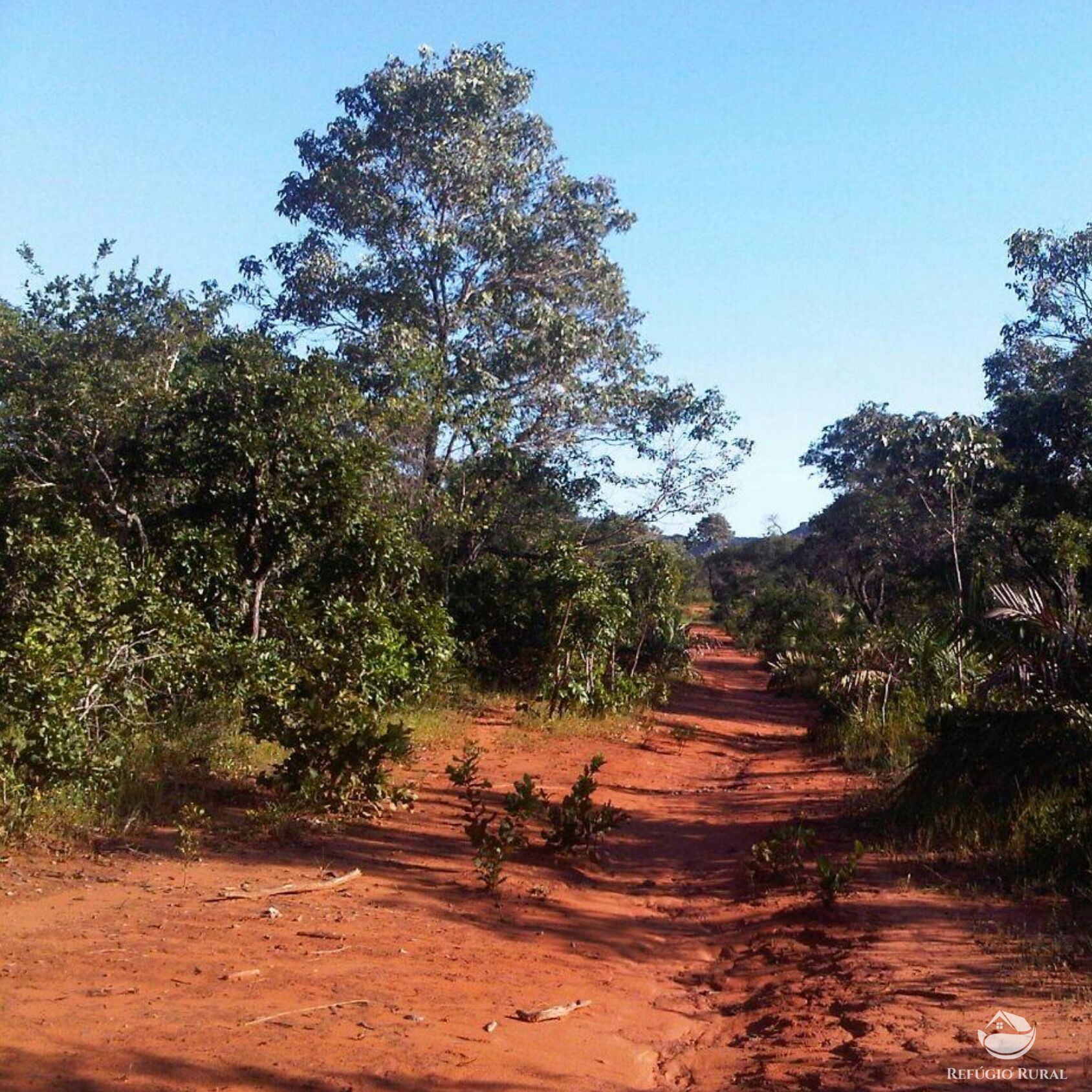 Fazenda à venda com 1 quarto, 51180000m² - Foto 1