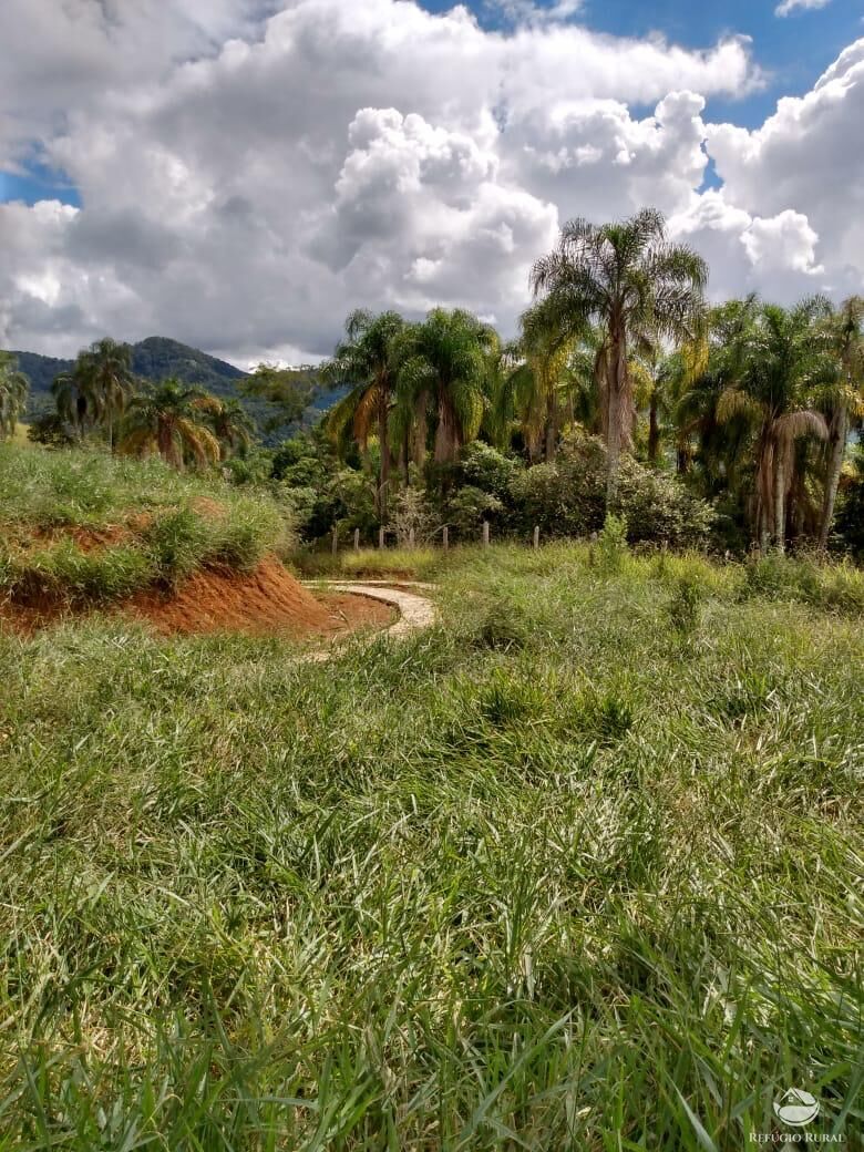 Terreno, 1 hectares - Foto 5