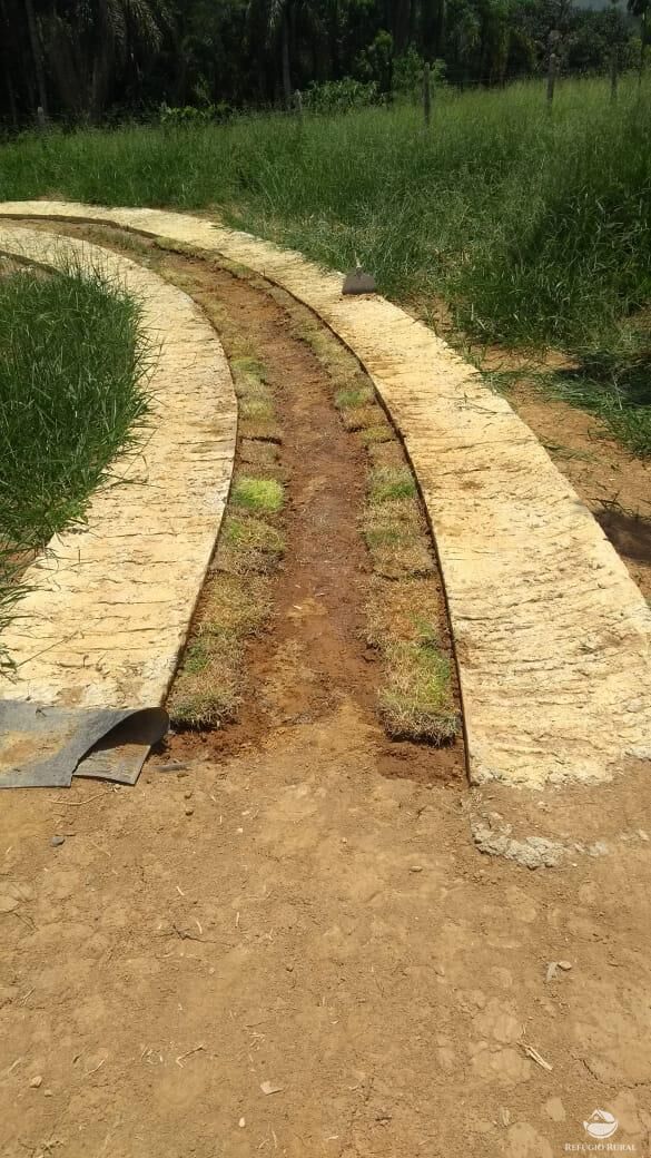 Terreno, 1 hectares - Foto 9