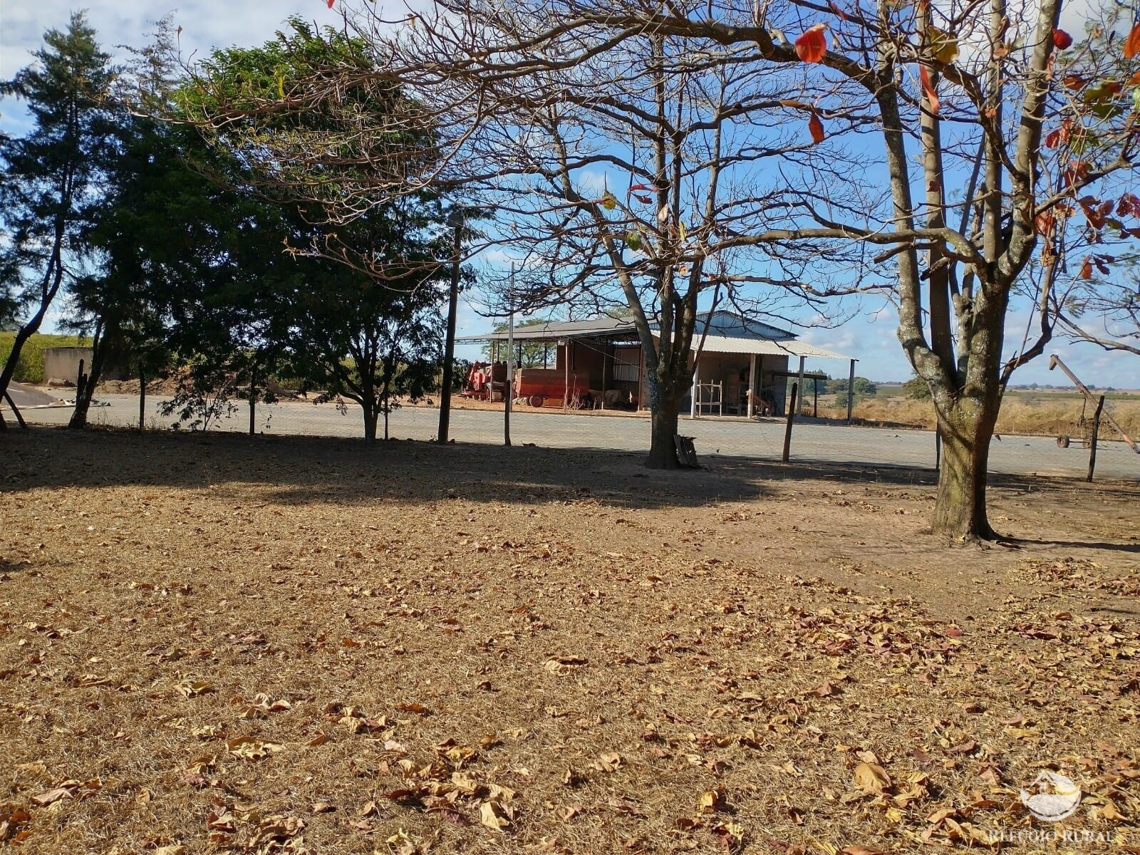 Fazenda à venda com 1 quarto, 2650000m² - Foto 10