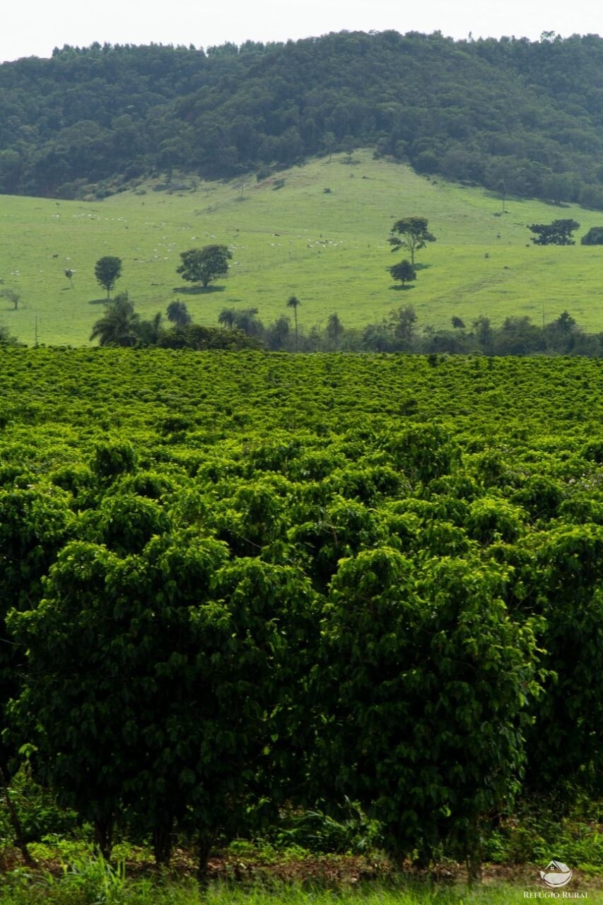 Fazenda à venda com 1 quarto, 2650000m² - Foto 3