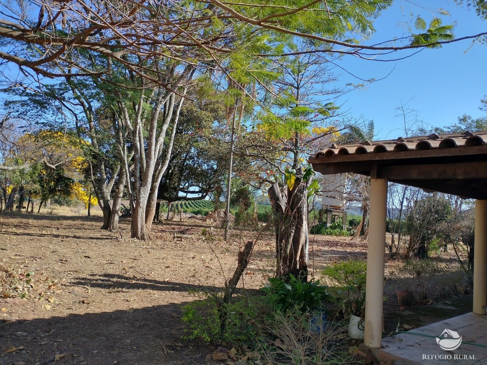 Fazenda à venda com 1 quarto, 2650000m² - Foto 14