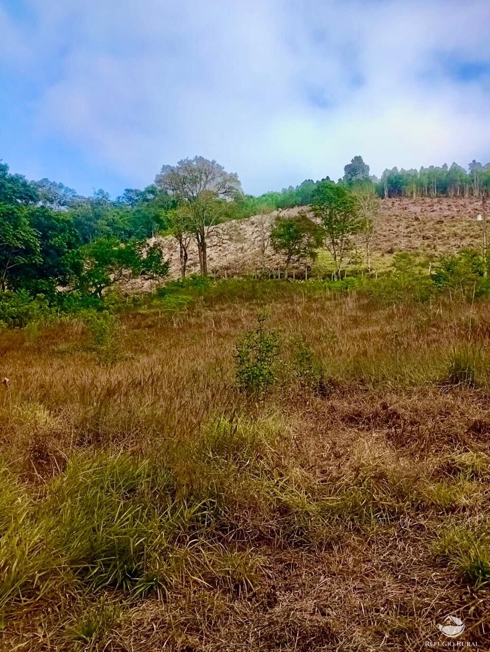 Sítio, 1 quarto, 8 hectares - Foto 4