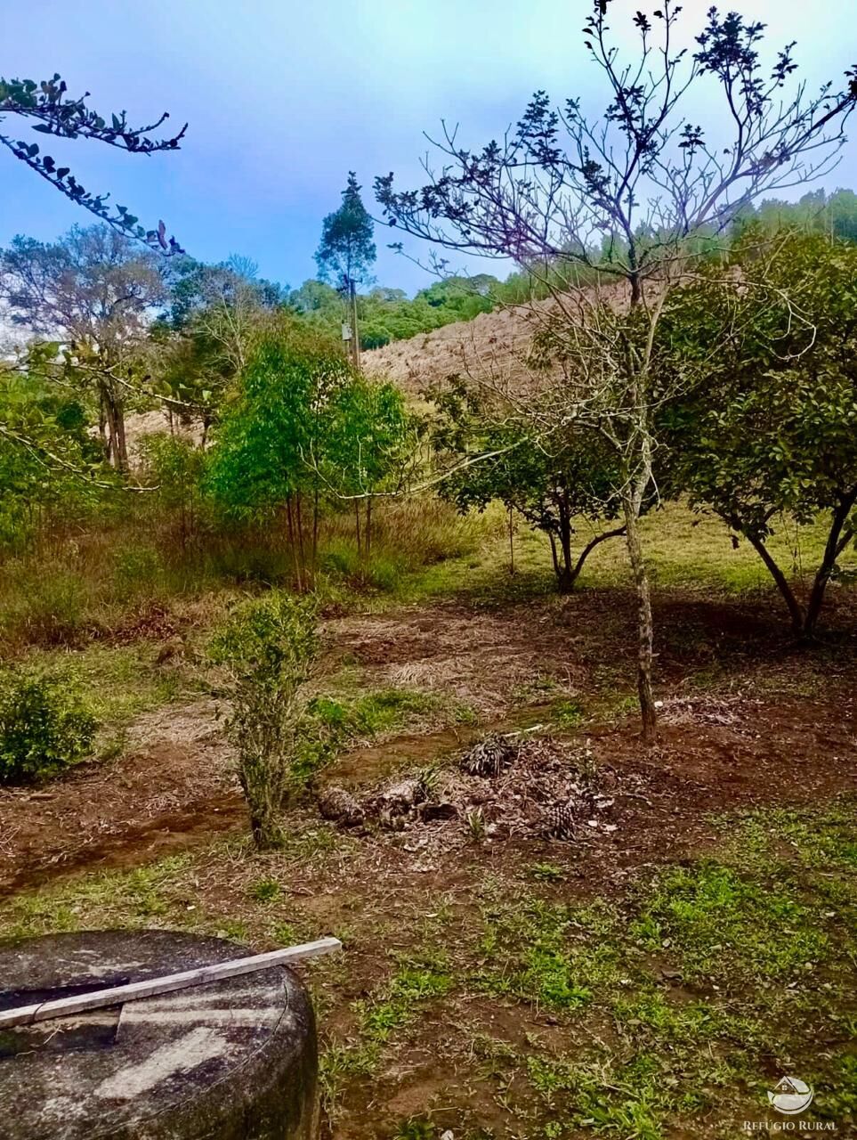 Sítio, 1 quarto, 8 hectares - Foto 20