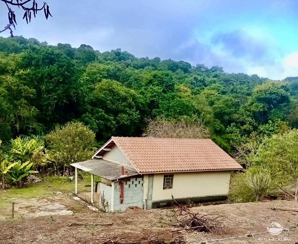 Sítio, 1 quarto, 8 hectares - Foto 1