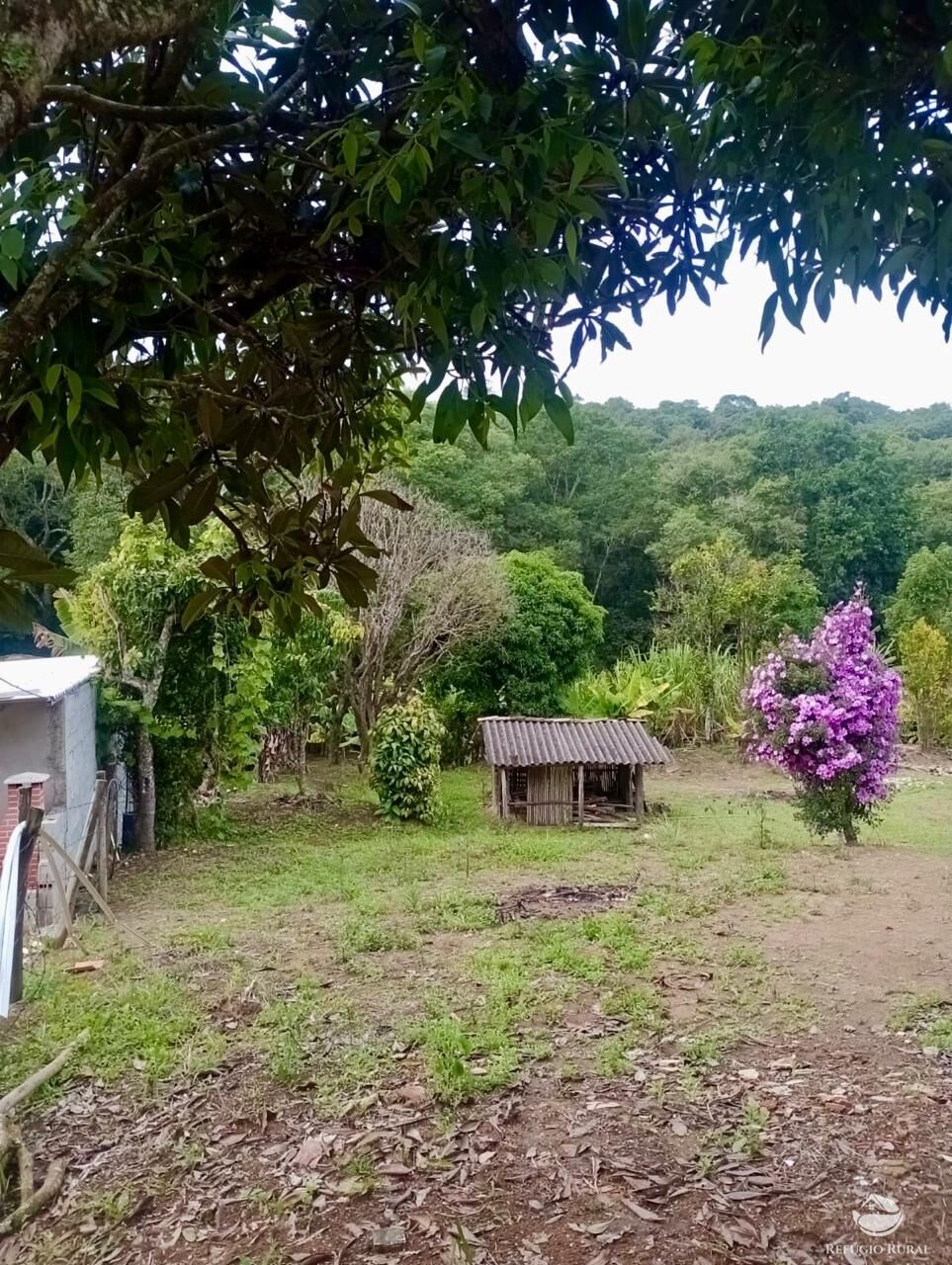 Sítio, 1 quarto, 8 hectares - Foto 22