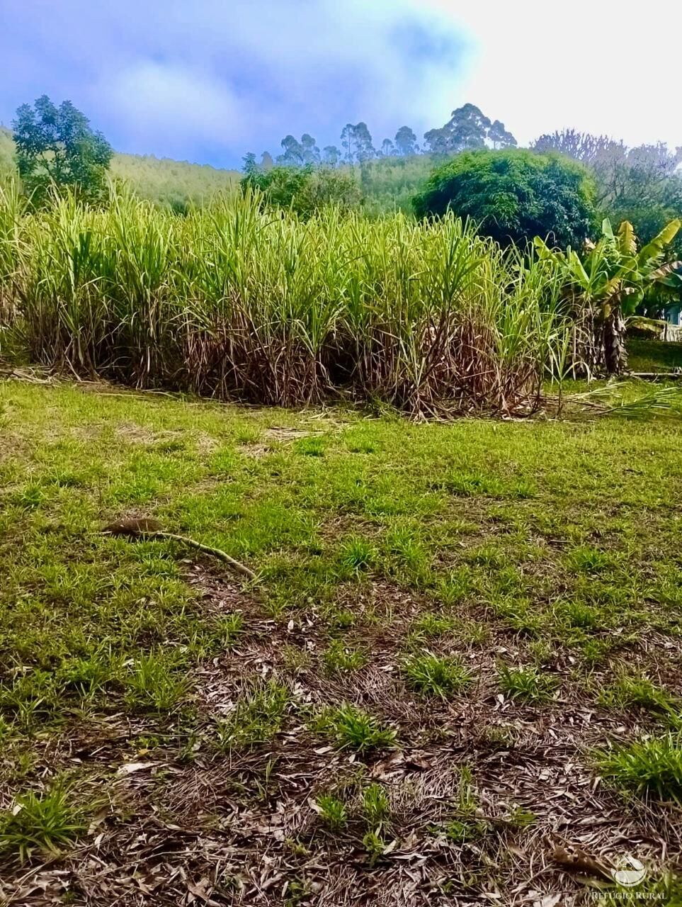 Sítio, 1 quarto, 8 hectares - Foto 16