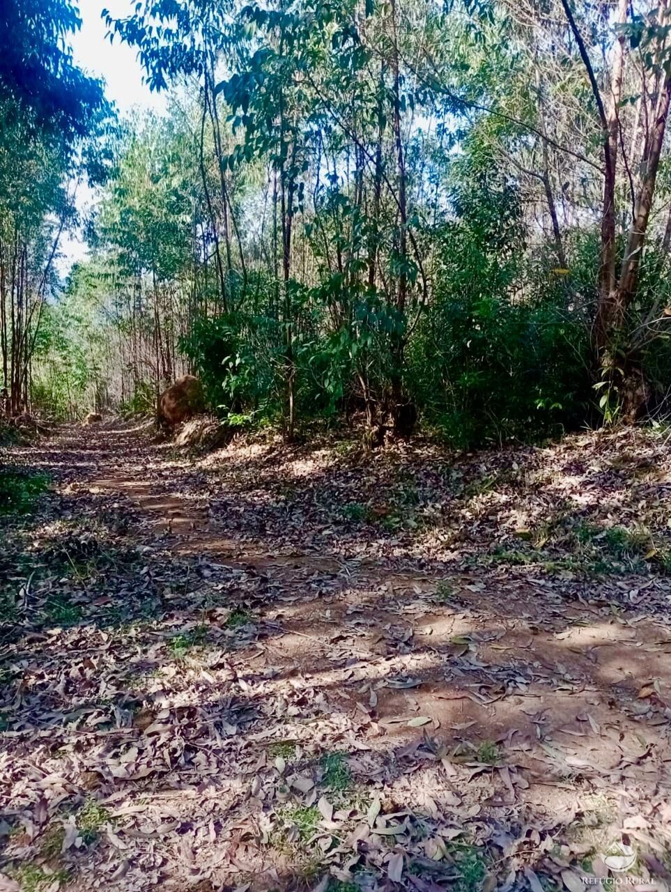 Sítio, 1 quarto, 8 hectares - Foto 13