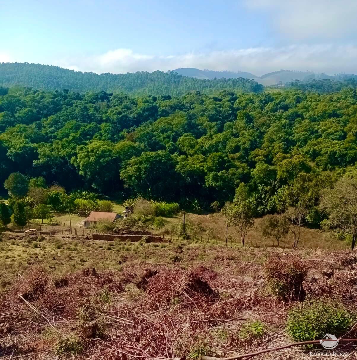 Sítio, 1 quarto, 8 hectares - Foto 5