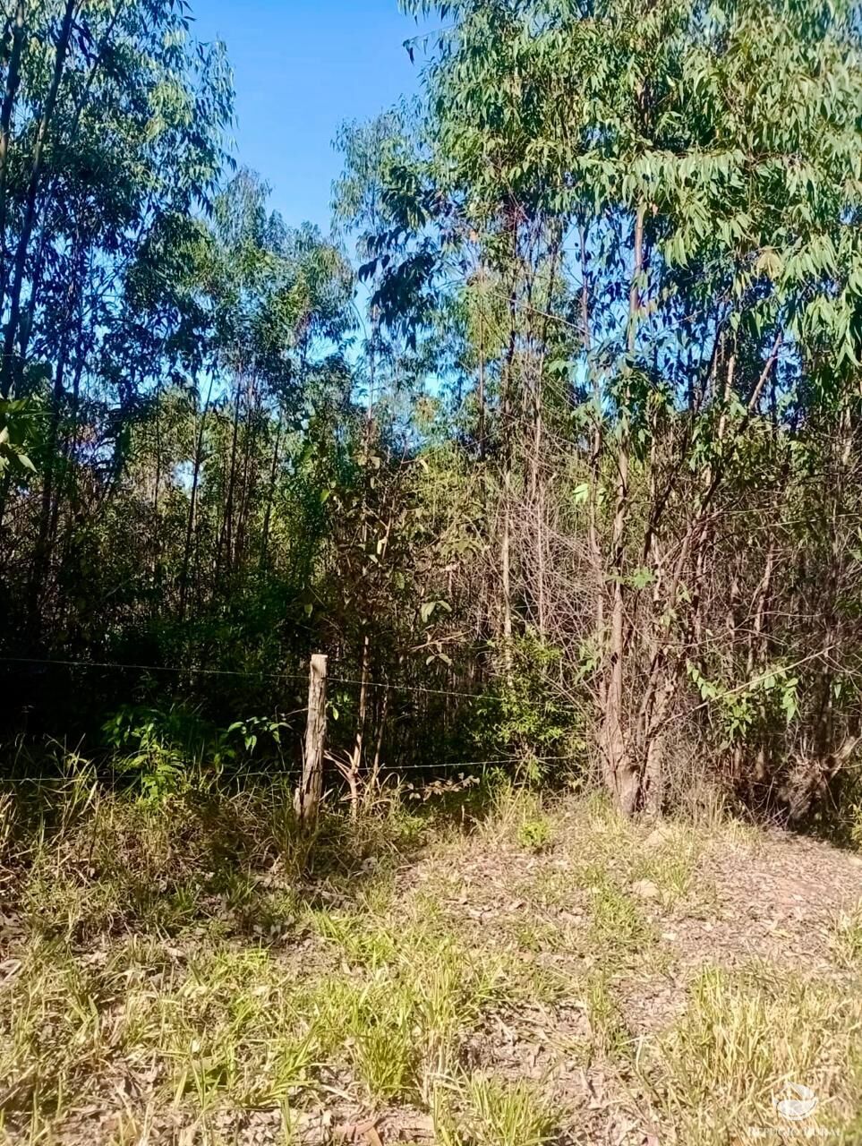 Sítio, 1 quarto, 8 hectares - Foto 14