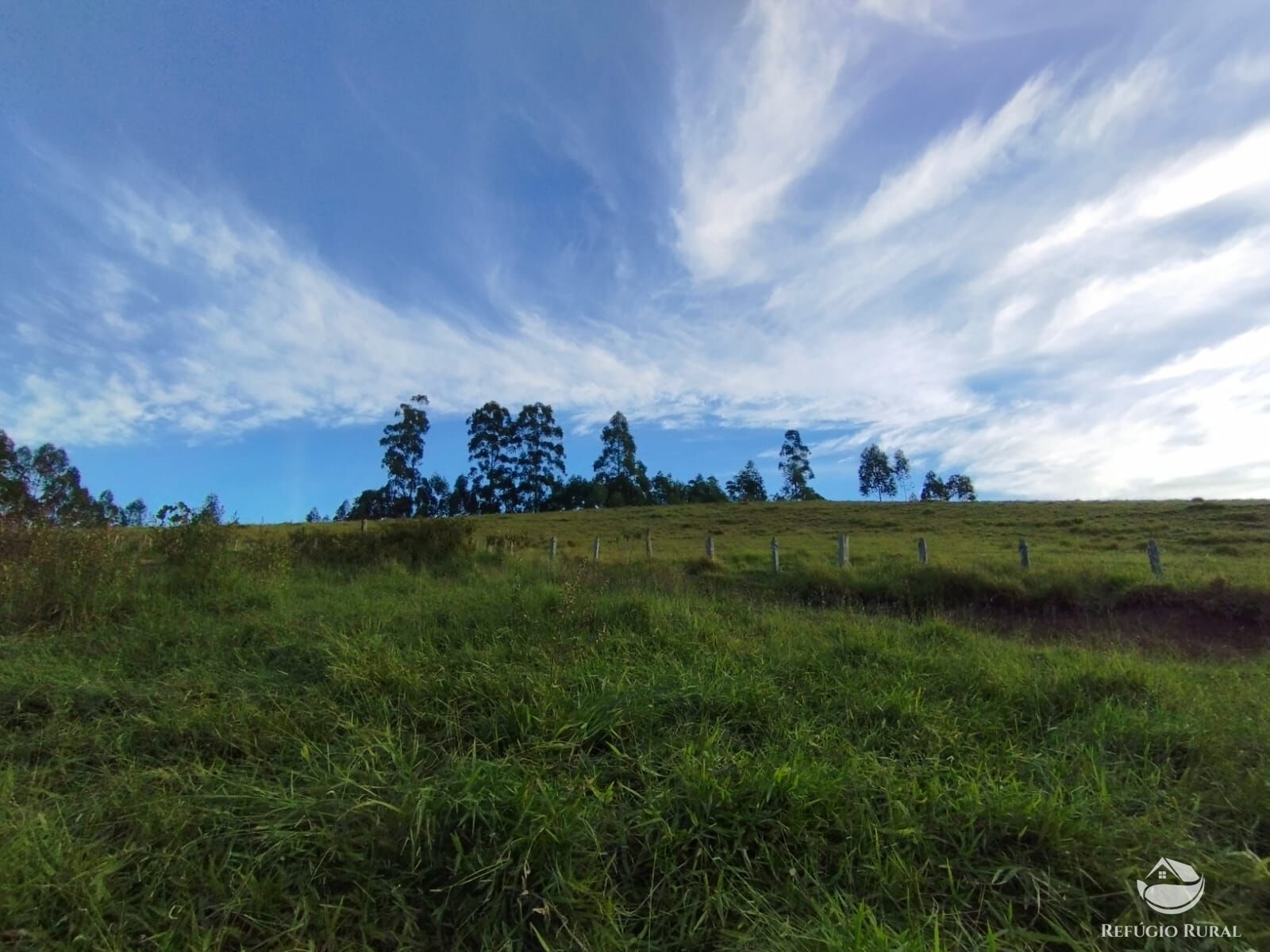 Fazenda à venda com 2 quartos, 1500400m² - Foto 6