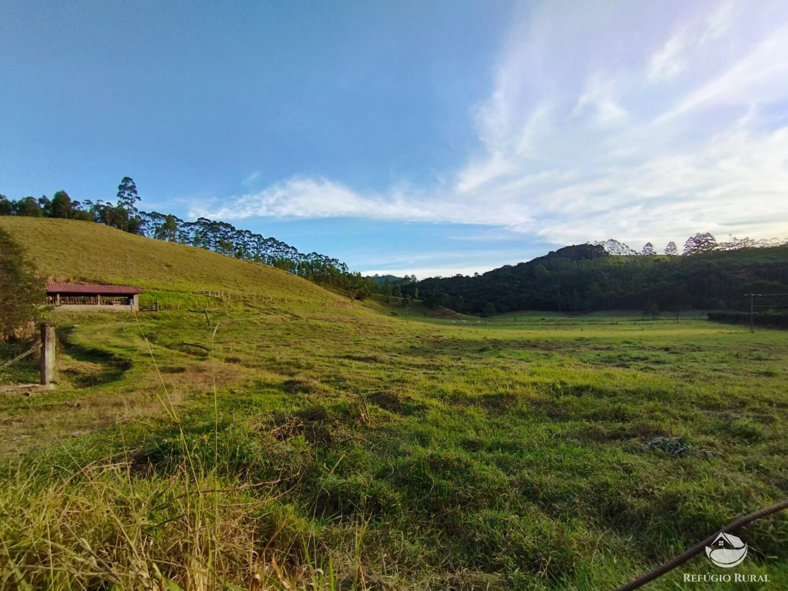 Fazenda à venda com 2 quartos, 1500400m² - Foto 16