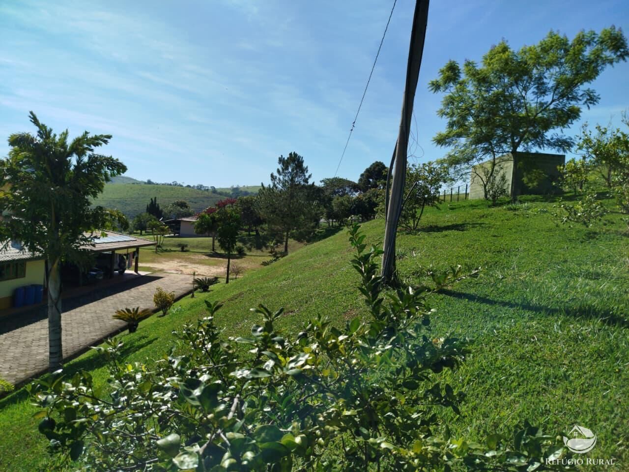 Fazenda, 87 hectares - Foto 8