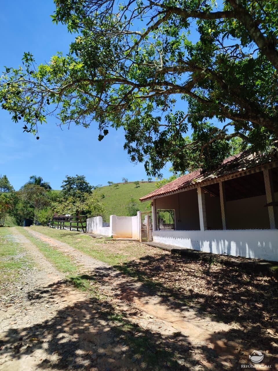 Fazenda, 87 hectares - Foto 45