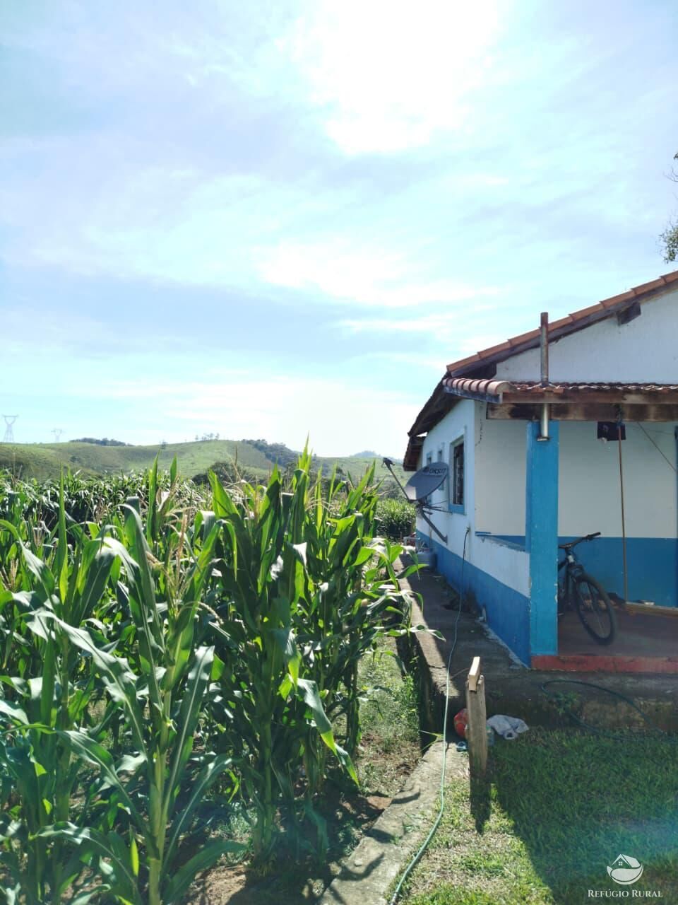 Fazenda, 87 hectares - Foto 43